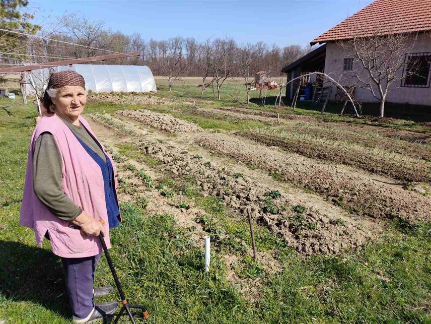 СРЕБРЕНИЦА, 28. МАРТА /СРНА/ - Осим мноштва различитих послова, осамдесетогодишња Мила Малешевић пише и стихове у стилу српских народних пјесама и тако настају њене већином кратке пјесме у дистиху, од којих су неке посвећене страдању српског села Чемерно, гдје јој је син погинуо са још 29 мјештана.