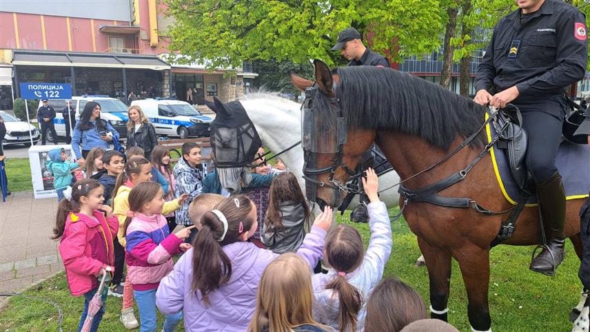 ДОБОЈ, 10. АПРИЛА /СРНА/ - Полицијска управа Добој организовала је Дан отворених врата за ученике добојских основних школа у оквиру којег је у Парку народних хероја представљен дио полицијских материјално-техничких средстава и опреме, а пажњу дјеце највише су привукли коњи и службени пси Јединице жандармерије.