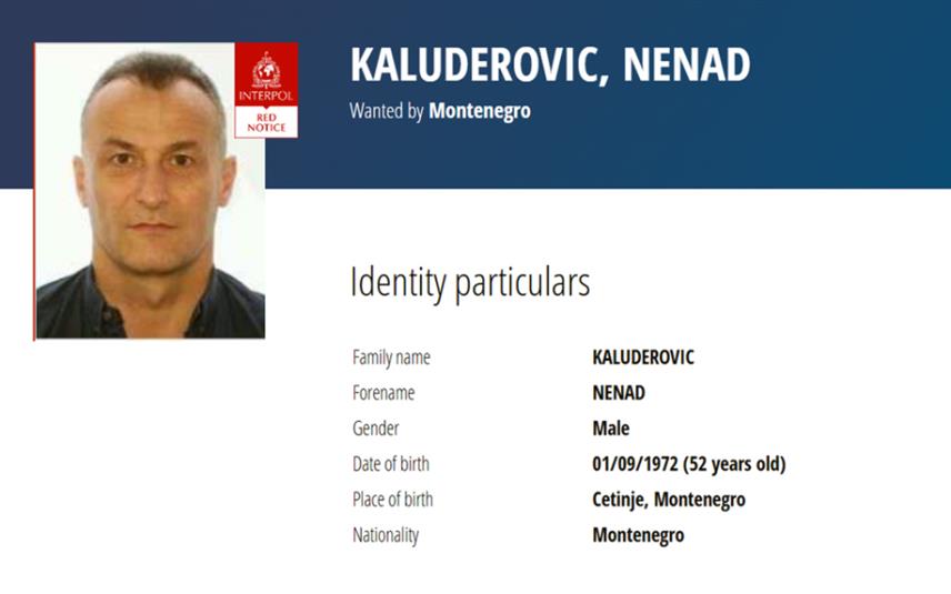 ПОДГОРИЦА, 10. АПРИЛА /СРНА/ - Генерални секретаријат Интерпола у Лиону објавио је међународну потјерницу за Ненадом Калуђеровићем /52/, црногорским држављанином са Цетиња, који се потражује ради вођења поступка пред Вишим судом у Подгорици због стварања криминалне организације и помагања у тешком убиству.