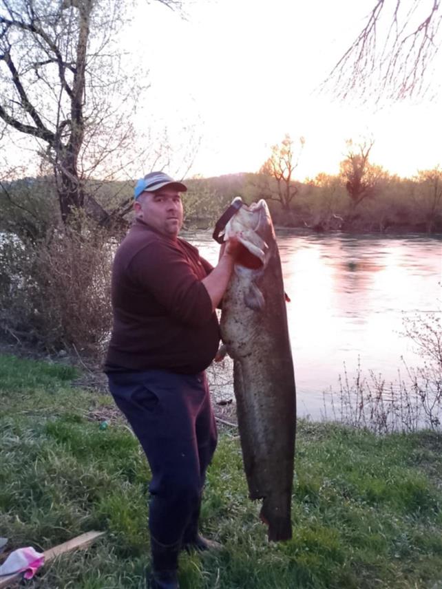 НОВИ ГРАД, 12. АПРИЛА /СРНА/ - Риболовац из Новог Града Ренато Кукавица упецао је у ријеци Уни у Равницама сома тежине 35,8 килограма.