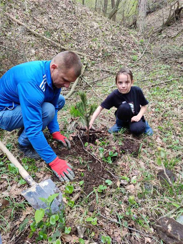 ДОБОЈ, 14. АПРИЛА /СРНА/ - На планини Озрен посађено је 200 садница црног бора у оквиру акције уређења и пошумљавања изворишта Мала Прења у којој је учествовало двадесетак љубитеља природе, међу којима и велики број младих.