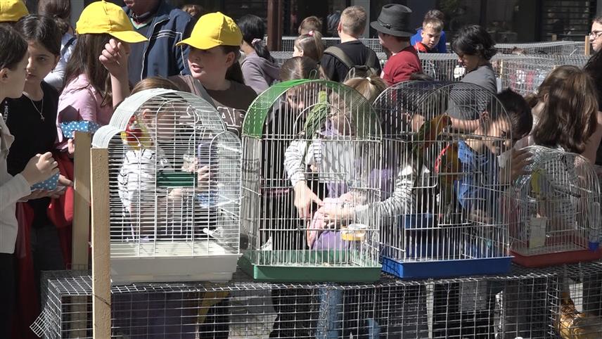 БРЧКО, 16. АПРИЛА /СРНА/ - Ревијалну изложбу ситних животиња и кућних љубимаца у Брчком данас је посјетило више од хиљаду малишана из брчанских обданишта и основних школа.	