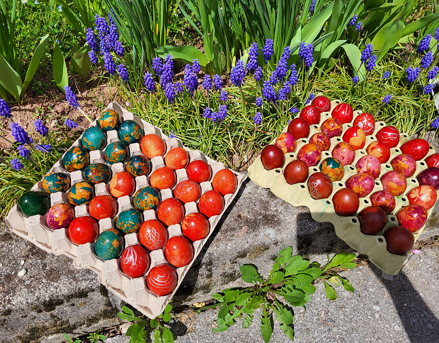 ПАЛЕ, 18. АПРИЛА/СРНА/ - Чланице Кола српских сестара "Света великомученица Текла" са Пала данас су обојиле 3.000 васкршњих јаја, које ће подијелити суграђанима слабијег материјалног стања.