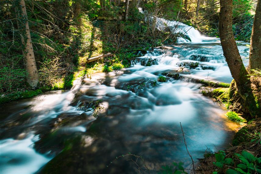 ПАЛЕ, 20. АПРИЛА /СРНА/ - Врело Миљацке, излетиште за уживање у природи и њеним чарима, налази се око три километра од центра Пала, а својим нестварним призорима, посебно у прољеће и јесен, никога не оставља равнодушним.