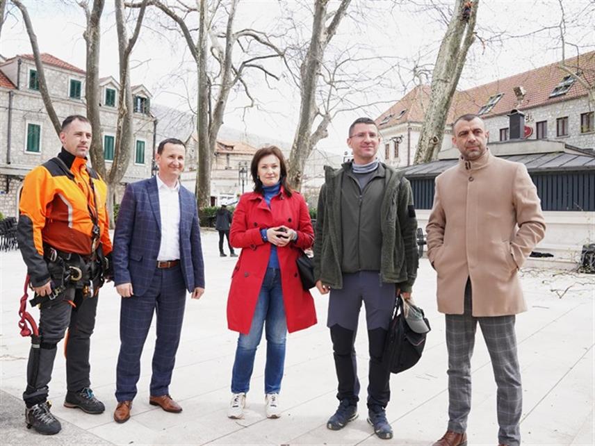 TРЕБИЊЕ, 2. АПРИЛА /СРНА/ - Градоначелник Требиња Мирко Ћурић је данас посјетио стручни тим који контролише стабла платана с циљем предузимања неопходних мјера ради њихове заштите.