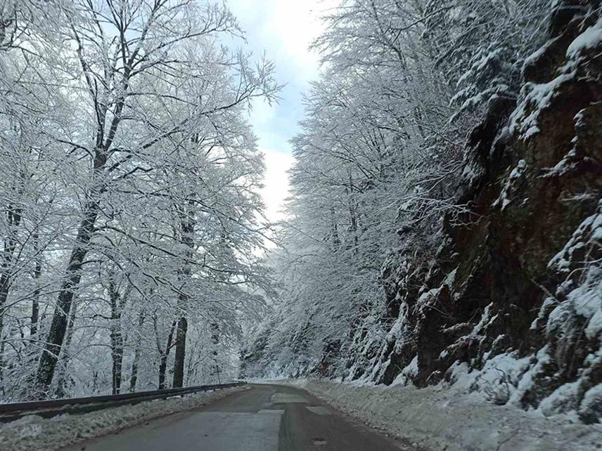 ЗВОРНИК, 7. АПРИЛА /СРНА/ - Сви магистрални и регионални путеви на подручју регије Бирач су проходни, али је, због нових сњежних падавина, успорено кретање возила на превоју Хан Поглед изнад Власенице.
