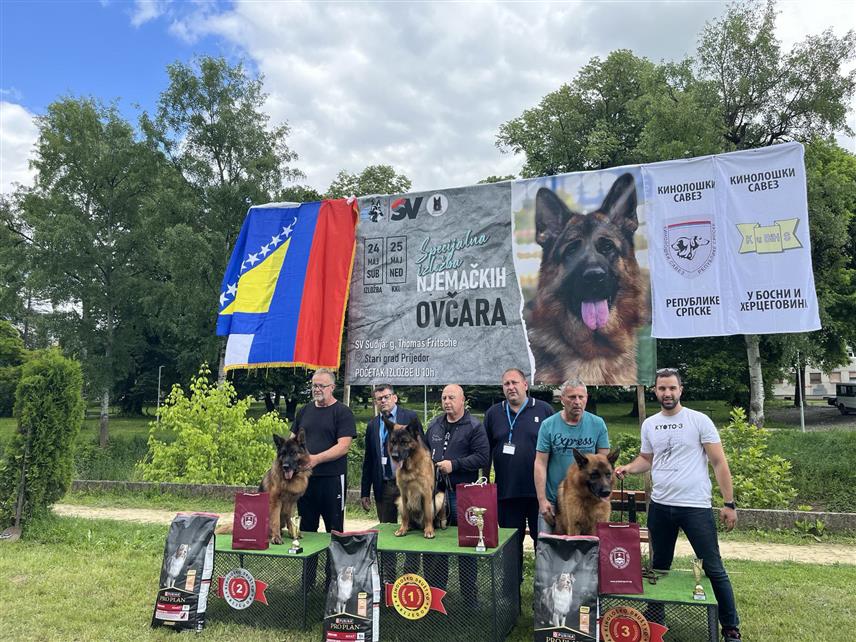 ПРИЈЕДОР, 24. МАЈА /СРНА/ - Четврта специјализована изложба њемачких овчара окупила је данас у Приједору више десетина узгајивача из Републике Српске, БиХ, Хрватске и Црне Горе.