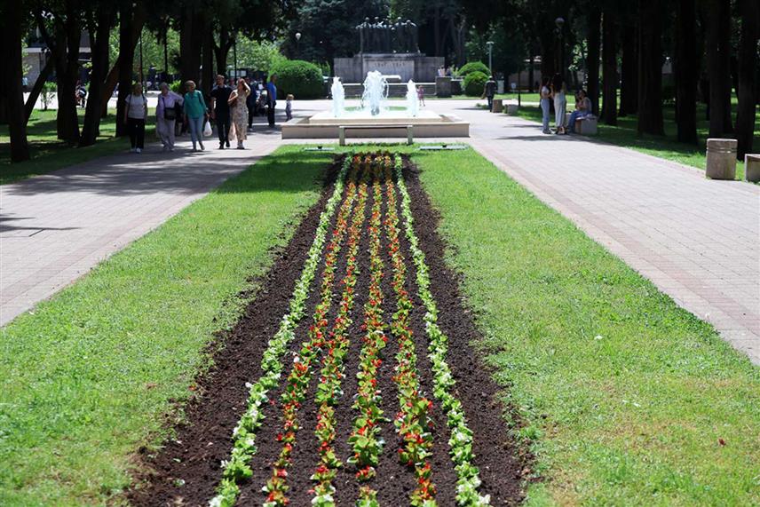 TРЕБИЊЕ, 5. МАЈА /СРНА/ - Радници требињског Комуналног предузећа у току прољетне садње посадиће око 10.000 садница цвијећа у вриједности 10.000 КМ.