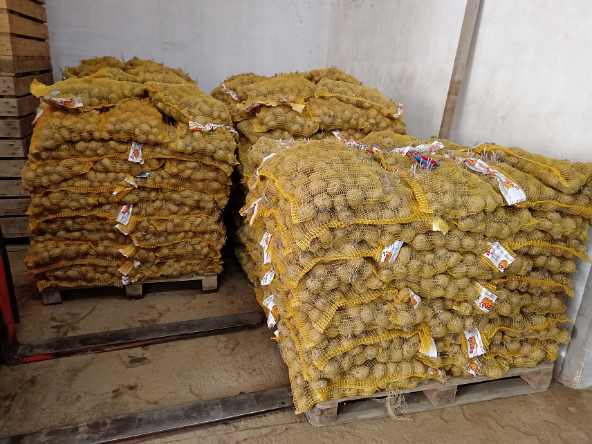 РОГАTИЦА, 27. ЈУНА /СРНА/ - На подручју Рогатице, од старина познатом крају по производњи квалитетног кромпира, овом културом је прољетос засађено око 300 хектара, али се пољопривредници прибојавају дуже суше која би могла знатно смањити принос за око 60 већих произвођача.