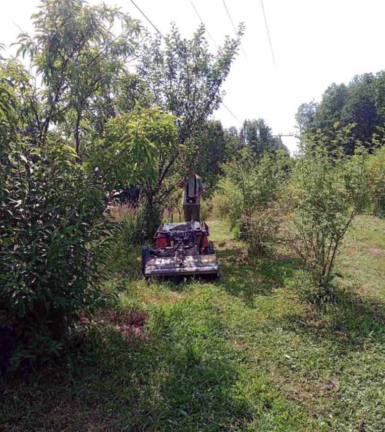 НОВИ ГРАД, 9. ЈУНА /СРНА/ - На плантажи шипка Пољопривредне задруге "Агронова" у Петковцу код Новог Града демонстрирана је косидба пољопривредним ровером са даљинским управљањем.
