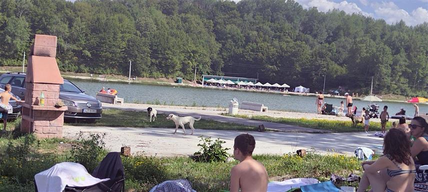 БАЊАЛУКА, 21. ЈУЛА /СРНА/ - Језеро у туристичко-рекреативном центру "Мањача" у љетним данима оаза је спаса од врућина за многе Бањалучане, којима друштво прави и велики број паса луталица.	