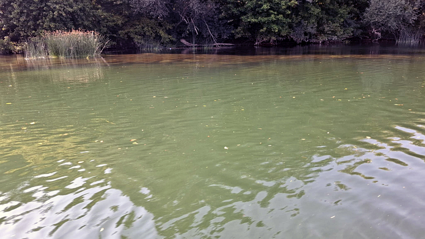 НОВИ ГРАД, 12. АВГУСТА /СРНА/ - Надлежне службе, водна инспекција и припадници МУП-а обишли су данас терен од Бихаћа до ентитетске границе, те је установљено да је боја воде у ријеци Уни промијењена узводно од Босанске Крупе.	
