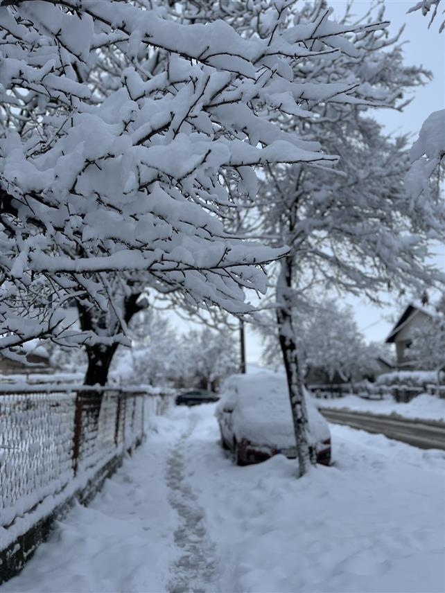 БИЈЕЉИНА, 5. ЈАНУАРА /СРНА/ - У Бијељини је јутрос снијег лијеп само на гранама, али не и на улицама и тротоарима јер су зимске градске службе заказале.