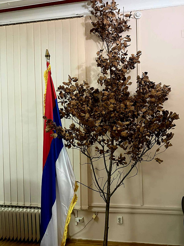 САРАЈЕВО, 6. ЈАНУАРА /СРНА/ - У Кабинет замјеника министра одбране у Савјету министара Александра Гогановића у згради Министарства одбране у Сарајеву, унесен је бадњак, чиме је настављена пракса обиљежавања православних вјерских празника и његовања традиције у систему одбране.