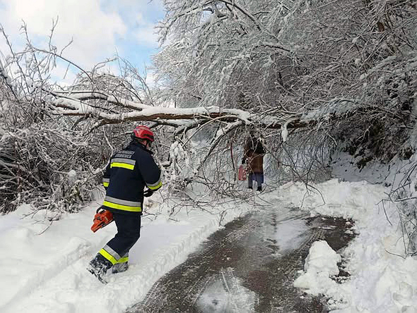 СРЕБРЕНИЦА, 8. ЈАНУАРА /СРНА/ - Снијег који је претходна три дана падао на подручју сребреничке општине поломио је дрвеће и ватрогасци већ трећи дан раде на уклањању поломљених и изваљених стабала са путева и паркиралишта.