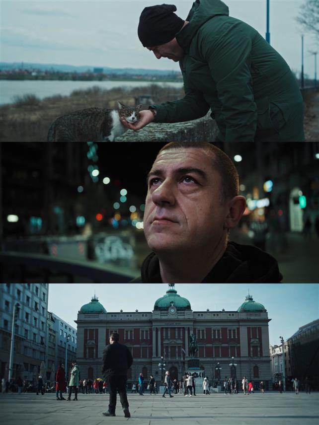 БАЊАЛУКА, 9. ЈАНУАРА /СРНА/ - Телевизијска премијера документарног филма "Послије забаве" биће вечерас на првом програму Радио-телевизије Србије, а прати дешавања у животу писца Стеве Грабовца непосредно прије добијања престижне НИН-ове награде за књижевност, као и церемонију додјеле овог признања.