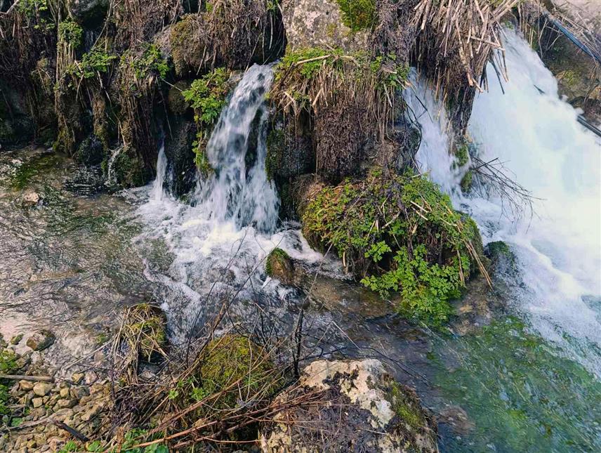 ШИПОВО, 22. ФЕБРУАРА /СРНА/ -На удаљености око осам и по километара од Шипова и надморској висини од 481 метра из стијена извире Плива, једна од наљепших и најчистијих ријека и највећи извор пијаће воде у Европи.