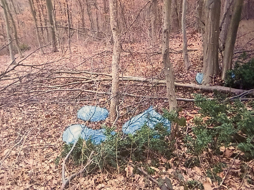 БИЈЕЉИНА, 12. МАРТА /СРНА/ - Клаонички отпад који је пронађен поред пута у мјесној заједници Кацевац код Бијељине.