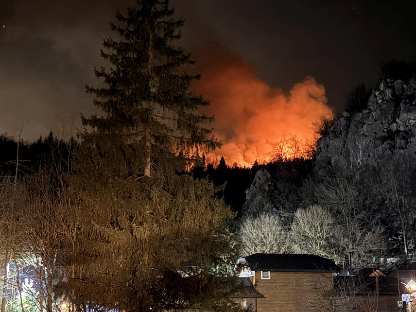 ПАЛЕ, 16. МАРТА /СРНА/ - На подручју Рогоушића у општини Пале гори сува трава и ниско растиње и за сада нису угрожени објекти и људи, а ватрогаси су на терену.