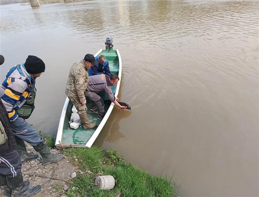 НОВИ ГРАД, 19. МАРТА /СРНА/ - У ријеке Уну и Сану у Новом Граду данас је пуштено 200 килограма шарана у првој овогодишњој акцији порибљавања у организацији Спортског риболовног удружења "Нови Град".