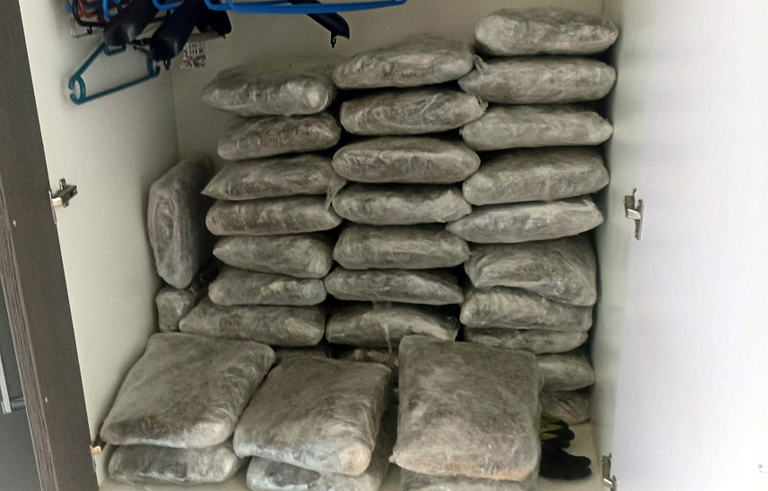 БЕОГРАД, 19. МАРТА /СРНА/ - Полиција у Београду заплијенила је више од 77 килограма марихуане и 1,2 килограма хероина, те ухапсила двојицу мушкараца из Прибоја због неовлашћене производње и стављање у промет дроге.