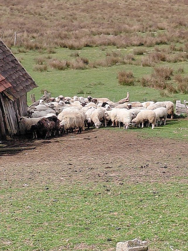 СРБАЦ, 25. МАРТА /СРНА/ - Фонд солидарности Борачке организације општине Србац додијелио је данас грађевински материјал у вриједности 2.500 КМ борцу прве категорије из Доњих Срђевића Зорану Tопићу.