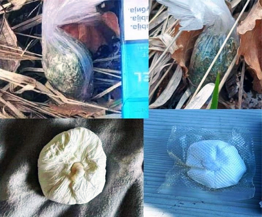 ТУЗЛА, 26. МАРТА /СРНА/ - Тридесетдеветогодишњи мушкарац из Тузле чији су иницијали Е.А. ухапшен је због посједовања дроге, саопштено је из МУП-а Тузланског кантона.