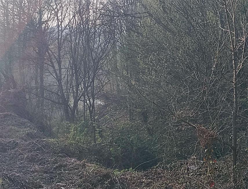 НОВИ ГРАД, 26. МАРТА /СРНА/ - Припадници Територијалне ватрогасно-спасилачке јединице Нови Град за један дан су имали шест интервенција због шумских и пожара на ниском растињу, речено је Срни у овој јединици, из које су апеловали на опрез и одговорност приликом уређења парцела.