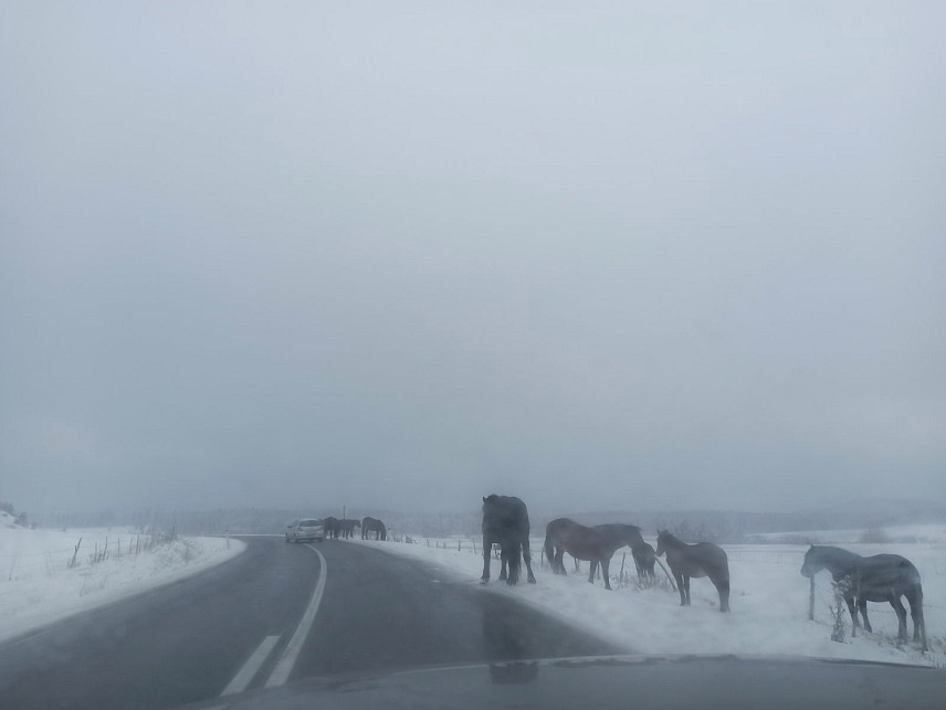 ЗВОРНИК, 28. МАРТА /СРНА/ - Сви магистрални и регионални путеви на подручју регије Бирач су проходни, али је због снијега отежан саобраћај, посебно на превојима Хан Поглед, Црни врх, као и на путним правцима Власеница, Шековићи и Скелани.