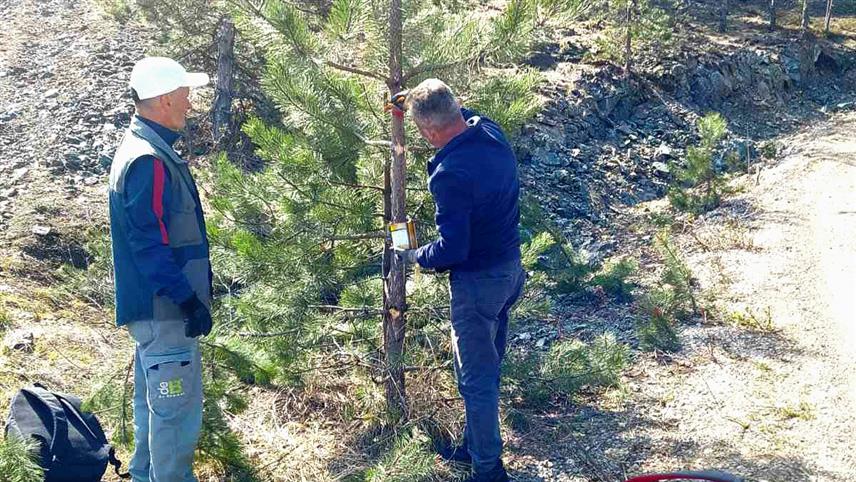 ПЕТРОВО, 11. АПРИЛА /СРНА/ - У озренском насељу Калуђерица од 5. до 7. јуна одржаће се јубиларни 20. "Озренски планинарски маратон" и Дани планинара Републике Српске.Организатор маратона је Планинарски клуб "Озрен - Краљица 883" из Петрова, чији је предсједник Анђелко Шешлак рекао Срни да су чланови овог удружења већ активни на уређењу и маркирање стаза.