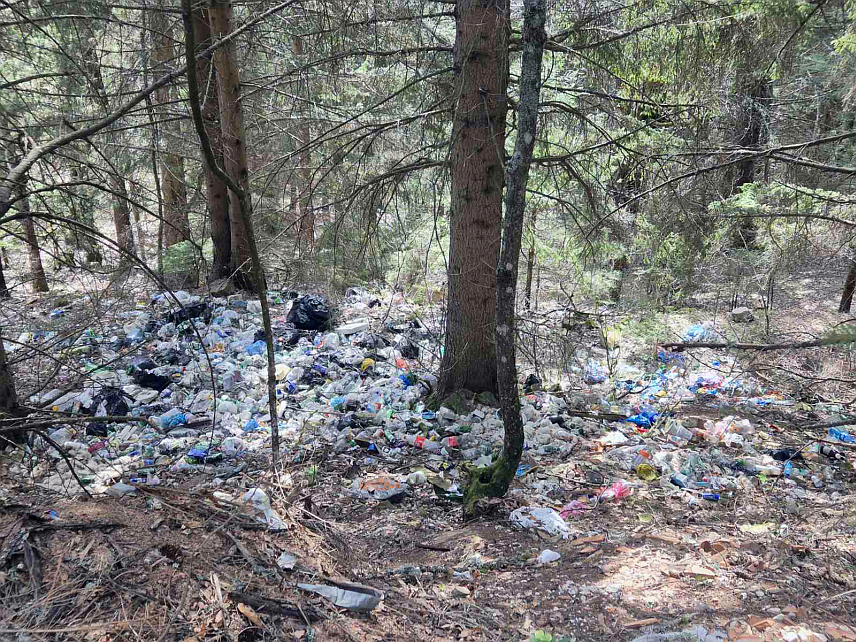 ПАЛЕ, 14. АПРИЛА /СРНА/ – Недалеко од Пала у насељима Боговићи, Мајдани, Стајна и Зечићи евидентно је неконтролисано одлагање отпада које представља озбиљан еколошки проблем.