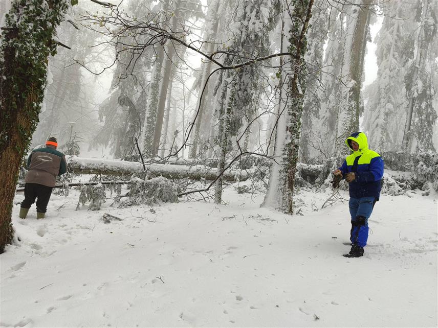 ПРИЈЕДОР, 1. АПРИЛА /СРНА/ - Национални парк "Козара" апеловао је да се посјетиоци привремено суздрже од доласка на Мраковицу, док се услови на терену не стабилизују.