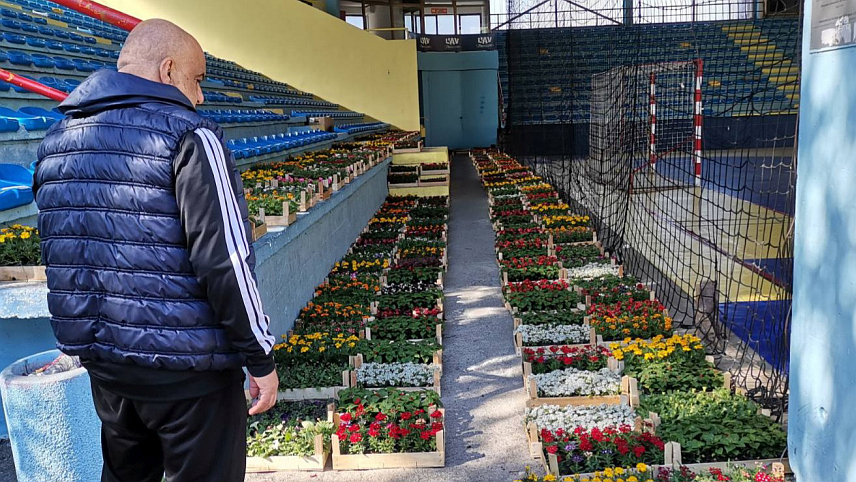 ДОБОЈ, 24. AПРИЛА /СРНА/ - У Добоју је почела подјела око 12.100 садница за 110 корисника предшколских и школских установа, те заједнице етажних власника које су се пријавиле на позив Градске управе "За љепши и уређенији Добој".