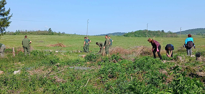 СОКОЛАЦ, 26. МАЈА /СРНА/ - Шумско газдинство "Романија" на Сокоцу покренуло је данас акцију пошумљавања заштитног појаса који се простире уз градско насеље и штити од вјетра, а циљ је да се обнови првобитна функција појаса и врати изглед који је деценијама красио овај простор.