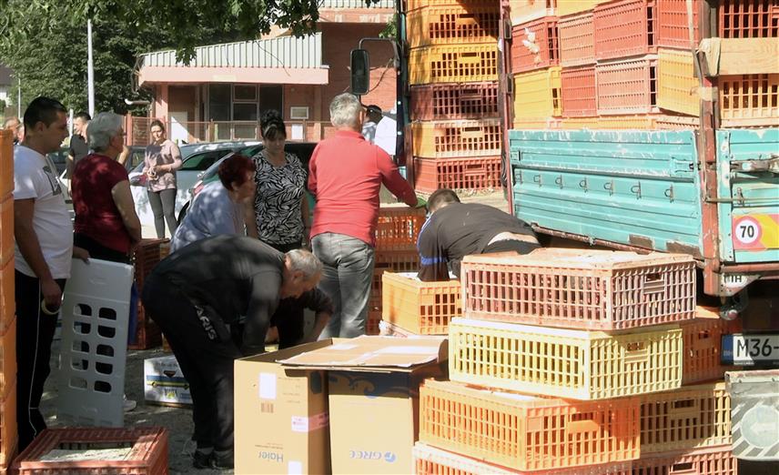 ПАЛЕ, 15. АВГУСТА /СРНА/ - У Подграбу је данас настављена акција подјеле 6.000 кока носиља које је донирала "Електродистрибуција", с циљем подршке домаћинствима са подручја општине Пале.