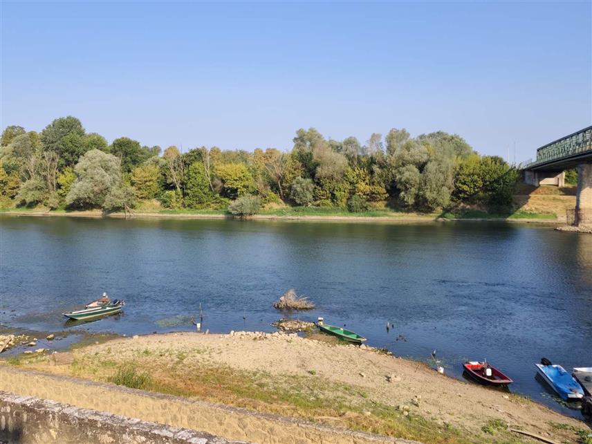 ГРАДИШКА, 7. АВГУСТА /СРНА/ - Водостај ријеке Саве у Градишци се због дуготрајне суше спустио на минус 110 центиметара, нема наглог опадања, али се очекује да ће достићи историјски минимум од минус 137 центиметара, изјавио је Срни шеф Одсјека цивилне заштите Градишка Слободан Кнежевић.