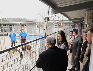 TREBINJE DOG RESCUE SHELTER AN EXAMPLE IN REGION