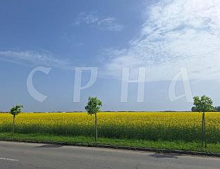 СУНЧАНО И ЈОШ ТОПЛИЈЕ