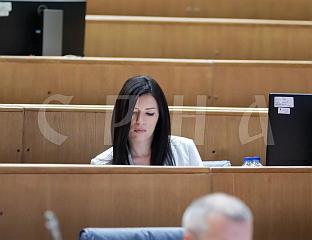 ВУЛИЋ: ИЗМЈЕНЕ ЗАКОНА О САВЈЕТУ МИНИСТАРА НЕУСТАВНЕ, НЕЋЕМО ИХ ПОДРЖАТИ