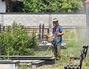 ПОЗИВ ГРАЂАНИМА ДА ОДРЖАВАЈУ И КОСЕ ПОЈЕДИНАЧНА ГРОБНА МЈЕСТА