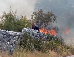 ТРНИНИЋ: ЧУДНО НА КОЈИ НАЧИН И НА КОЈИМ ДИЈЕЛОВИМА ИЗБИЈАЈУ ПОЖАРИ