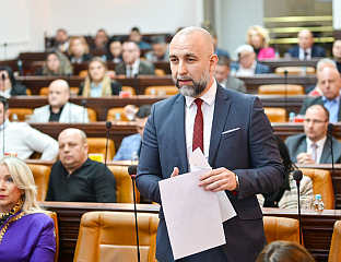 ТАЛИЋ: ГРАДСКА УПРАВА ЗАПУСТИЛА ДРВОРЕДЕ, УГРОЖЕНИ ГРАЂАНИ И ИМОВИНА
