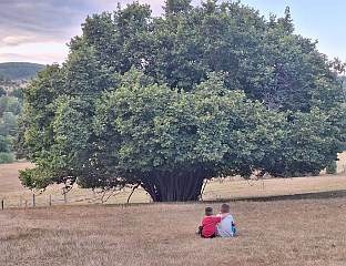 ИЗАБРАНЕ НАЈЉЕПШЕ ФОТОГРАФИЈЕ СА ПОДРУЧЈА РОГАТИЦЕ
