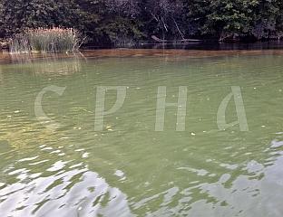 УЗРОК ПРОМЈЕНЕ БОЈЕ ВОДЕ У РИЈЕЦИ УНИ НИЈЕ ПУЦАЊЕ КОЛЕКТОРА