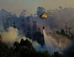ПОЖАРИ ИЗАЗВАЛИ НАЈВЕЋЕ ЕМИСИЈЕ УГЉЕНИКА У ПОСЉЕДЊЕ 23 ГОДИНЕ