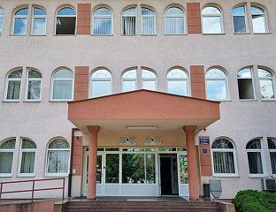 ОДРЕЂЕН ПРИТВОР ОСУМЊИЧЕНОЈ ЗА САИЗВРШИЛАШТВО У КРАЂИ ТОКОМ КОЈЕ ЈЕ ПОГИНУО ИНСПЕКТОР