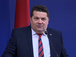 СТЕВАНДИЋ: ВАЖАН ЈЕ КОНЦЕПТ ВЛАДЕ
