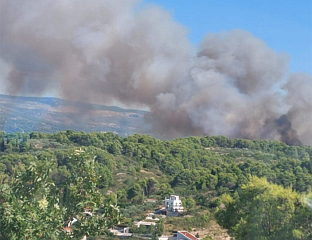 ВЕЛИКИ ПОЖАР НА ОСТРВУ ШОЛТА, ГОРИ БОРОВА ШУМА