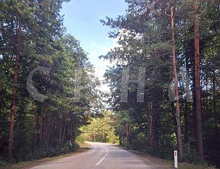 ТОКОМ ДАНА ВРЛО ТОПЛО, ПОСЛИЈЕ ПОДНЕ НЕСТАБИЛНО УЗ КИШУ И ПЉУСКОВЕ