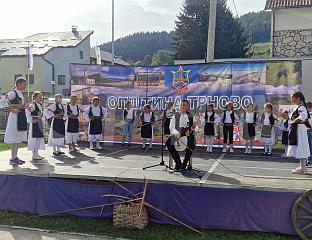 УПРИЛИЧЕН СВЕСРПСКИ САБОР У ОТАЏБИНИ И РАСИЈАЊУ
